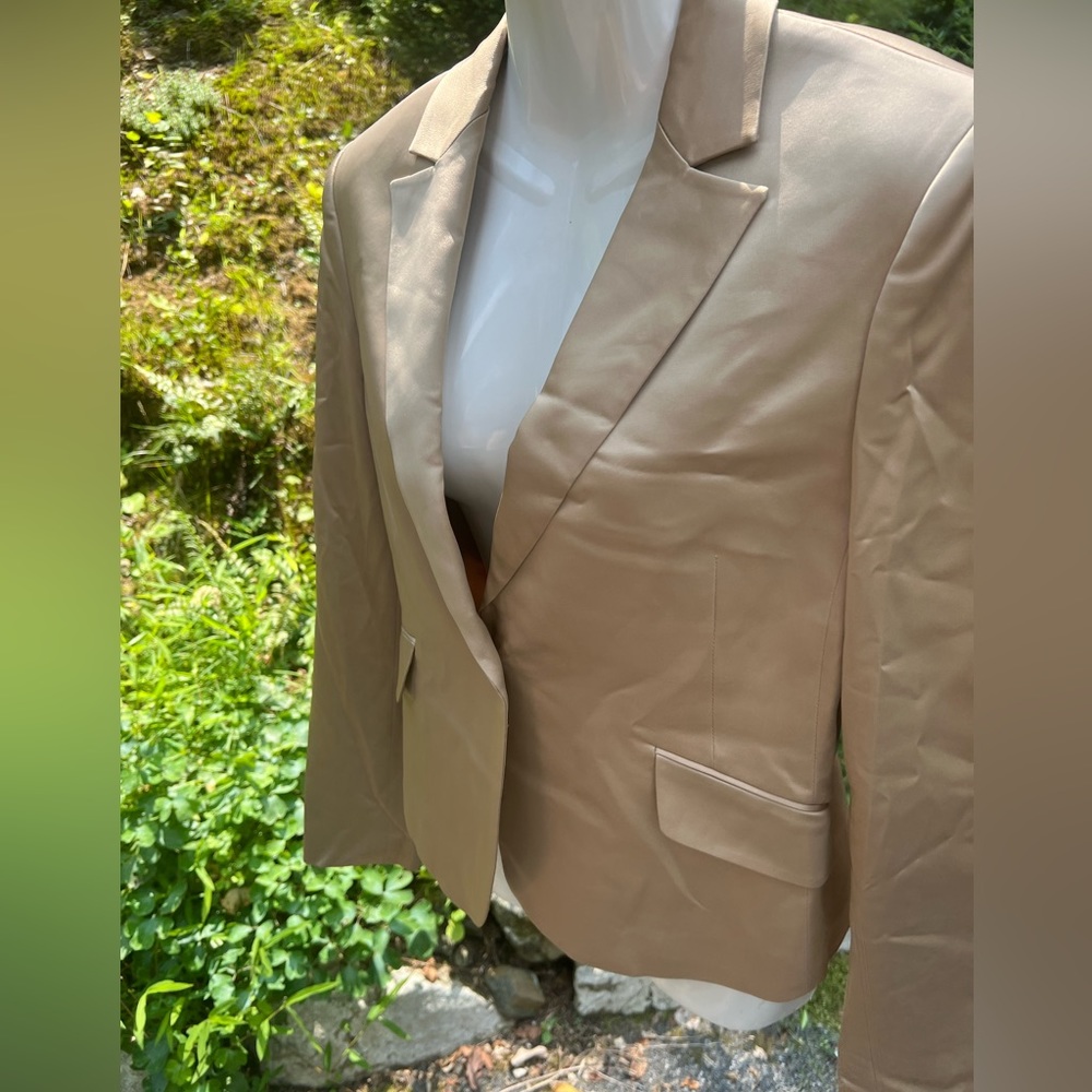 BCBGMaxAzria Tan Suit Set